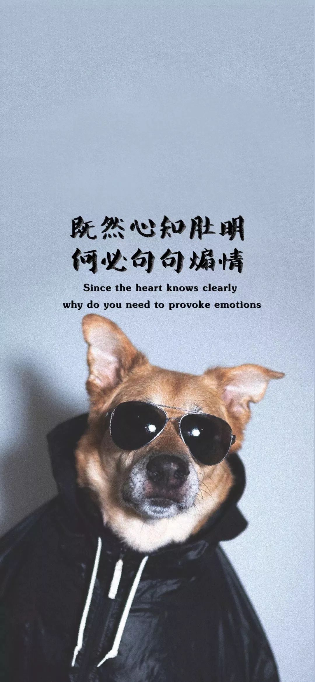 抖音热门壁纸等太久反倒对什么都没了期待