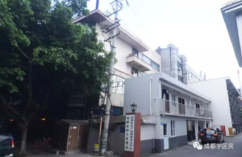 原创最低95万拿下草堂小学学区房