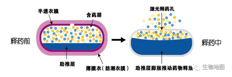 手握制剂“金刚钻”,揽下控释“瓷器活”,本土药企打破渗透泵技术壁垒_药物