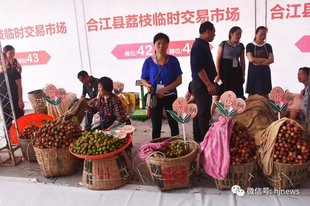yēr啦合江荔枝文化节明天开幕丨荔枝低至2块附农家乐地址