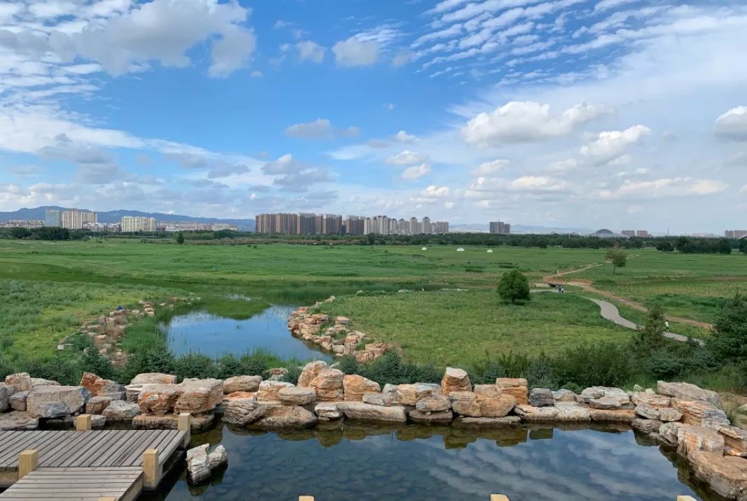 西北社会实践第四日赴伊金霍洛旗红海子湿地赛汗塔拉城中草原考察生态