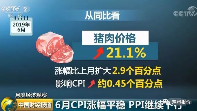 蛋價,淘雞,肉雞一路攀升,這波行情能到2023年?_生豬