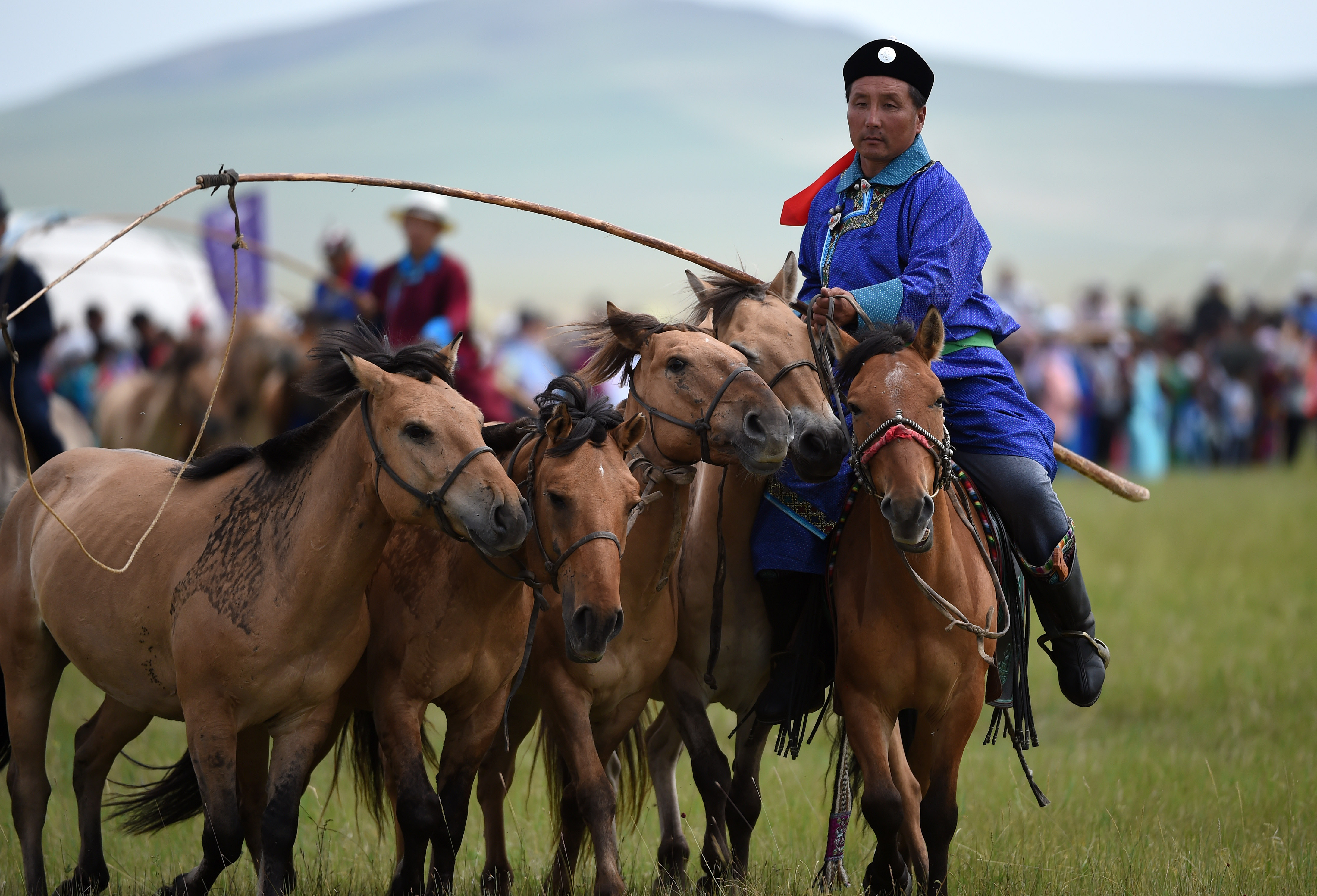 内蒙古东乌珠穆沁旗草原举行马文化活动