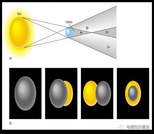 月球遮蔽形成的影子,在地球上可分成本影,伪本影(月球距地球较远时形
