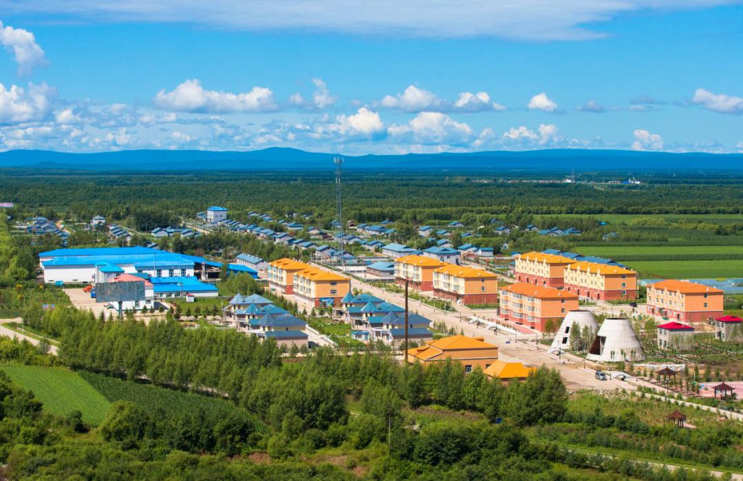 工作经验嘉荫县打造六面红旗充分发挥头雁效应争取实现六个同步提高