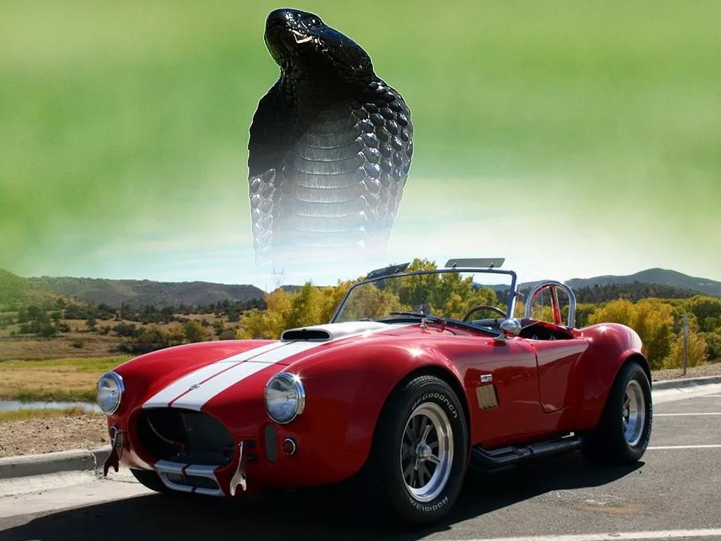 眼镜蛇cobra (福特谢尔比)猎豹cheetah (雪佛兰)野马bronco (福特)