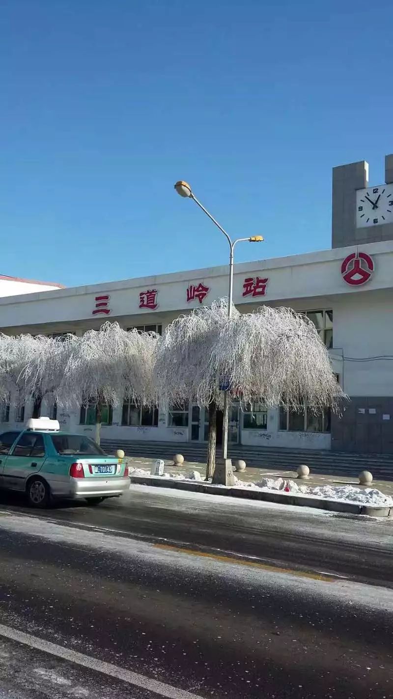 哈密三道岭刘辉图片