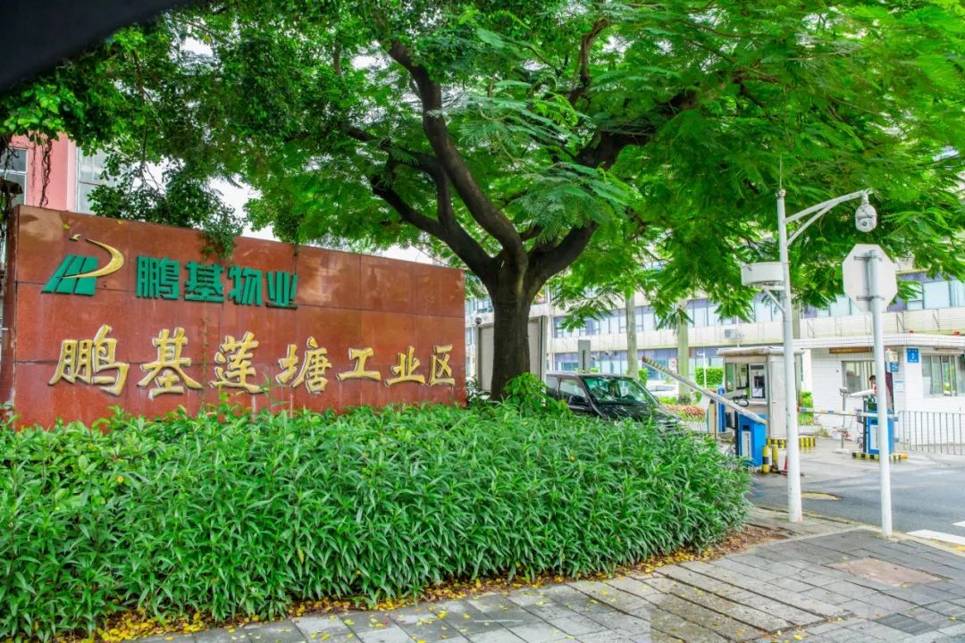 莲塘,能不说再见吗?_罗湖