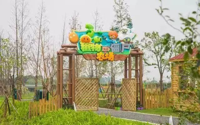 无锡灵山大佛,拈花湾等建议大家住上三天两晚既享受自由悠闲的农场