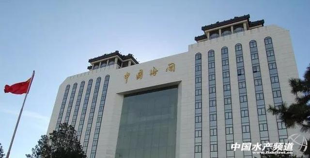 涉嫌进口货物申报不实,大连长海远洋渔业公司被罚_马尾海关