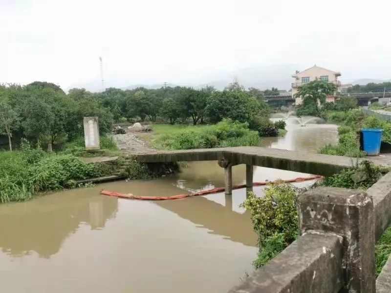 清理后下阶段,黄岩区高桥街道将组织河道巡查人员定期开展河道巡查,并