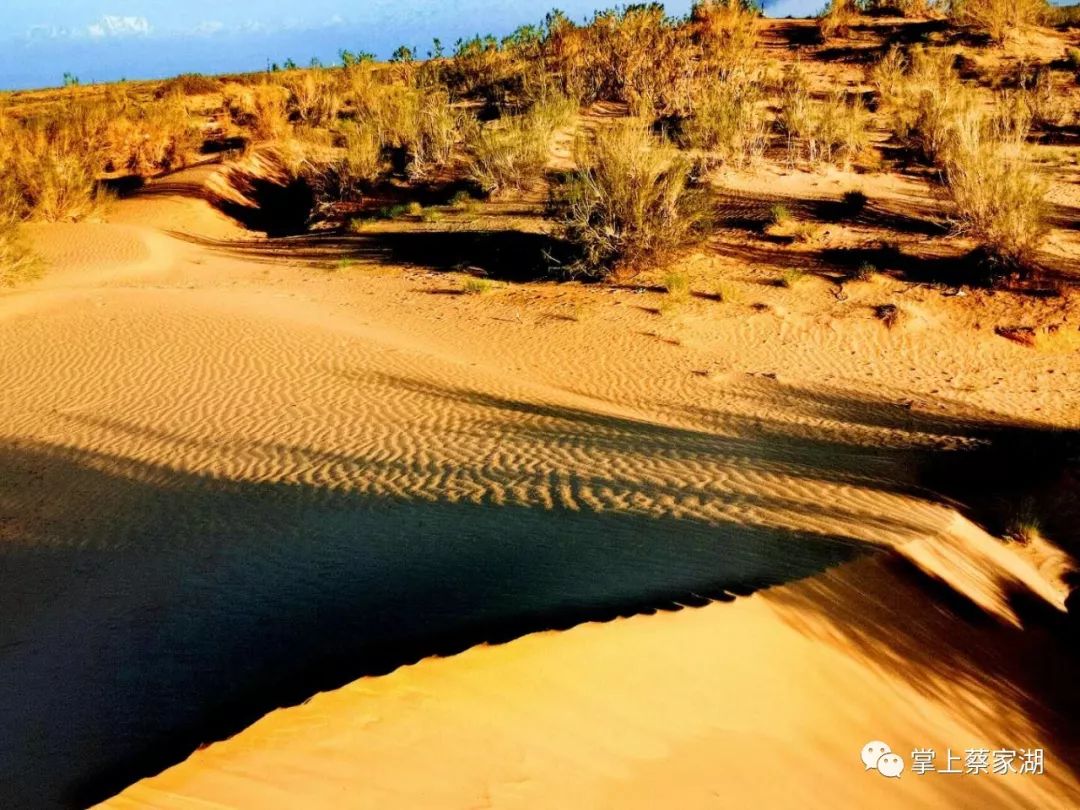 五家渠-----103团昌吉------五家渠------103团阜康------五家渠