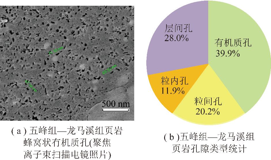 【论文推荐】焦伟伟等:渝东南地区下古生界页岩含气性差异关键控制因