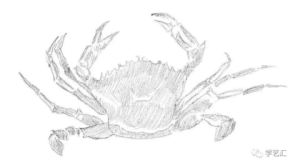 适合零基础学习的素描小教程~_部分