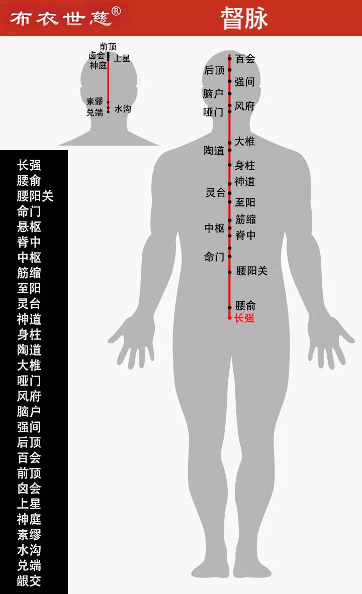 督脉的准确位置图片图片