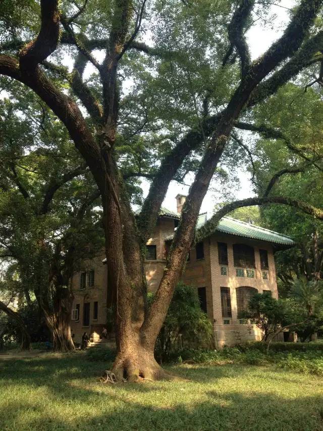 洪声音乐岭南大学的故事