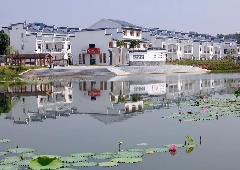 兴国县康养小镇建设专项规划通过专家评审