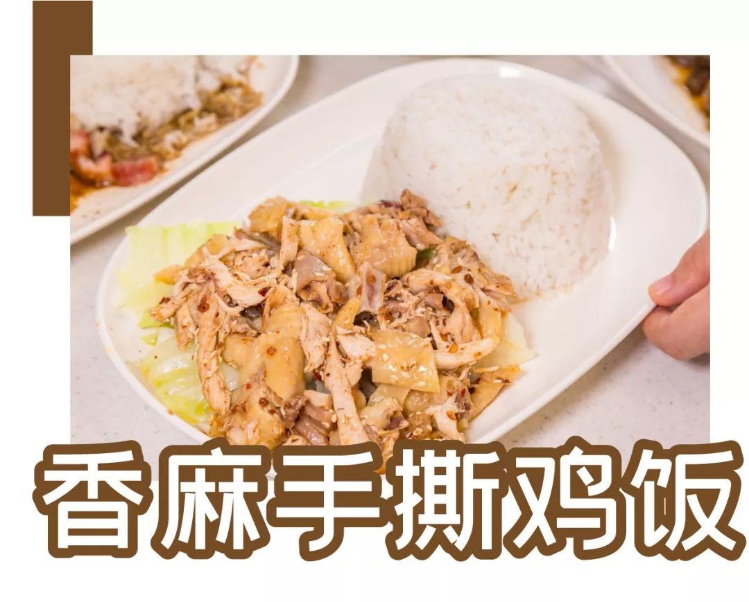 手撕鸡没有白切鸡嫩滑但经过红油调教过的它无比下饭仿佛给食欲不振的