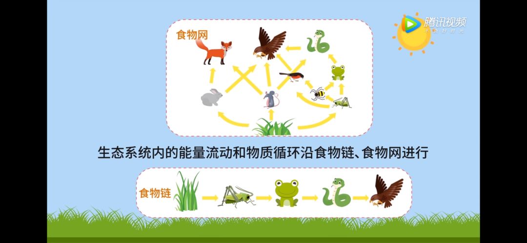 循环不息的碳元素的循环桑基鱼塘是我国珠三角地区创造的一种桑叶养蚕