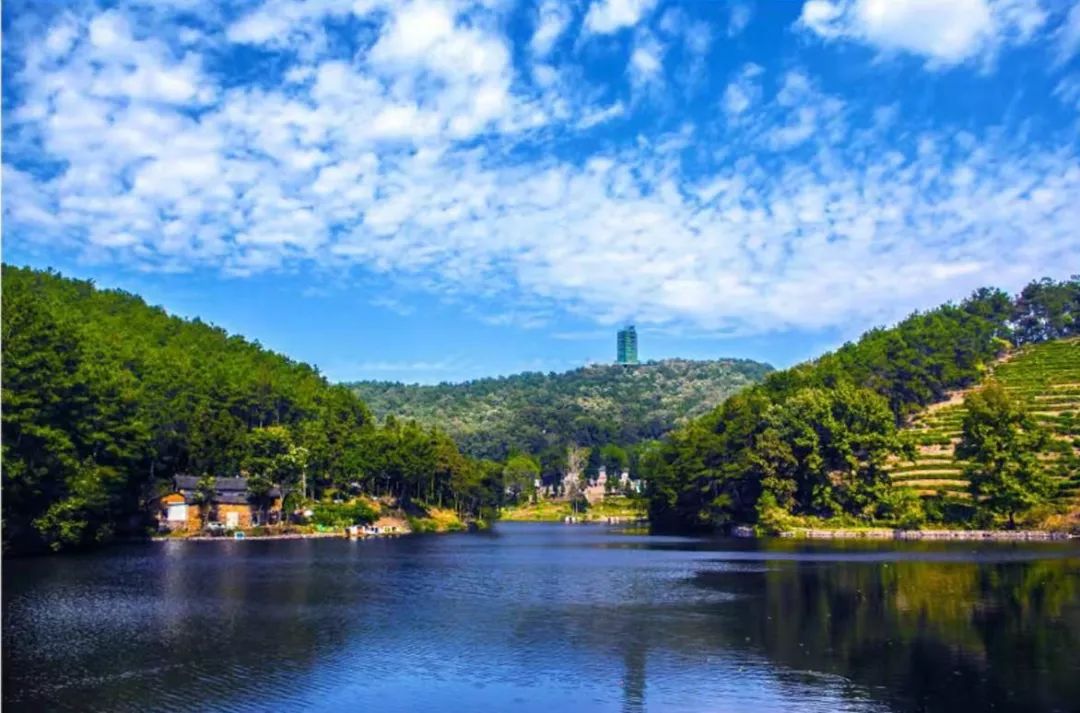 信阳唯一河南3个光山又添新名片