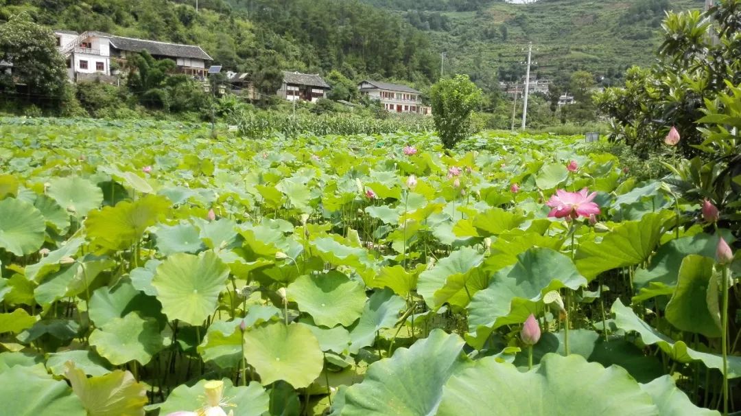 南江乡龙广村入选全国乡村旅游重点村