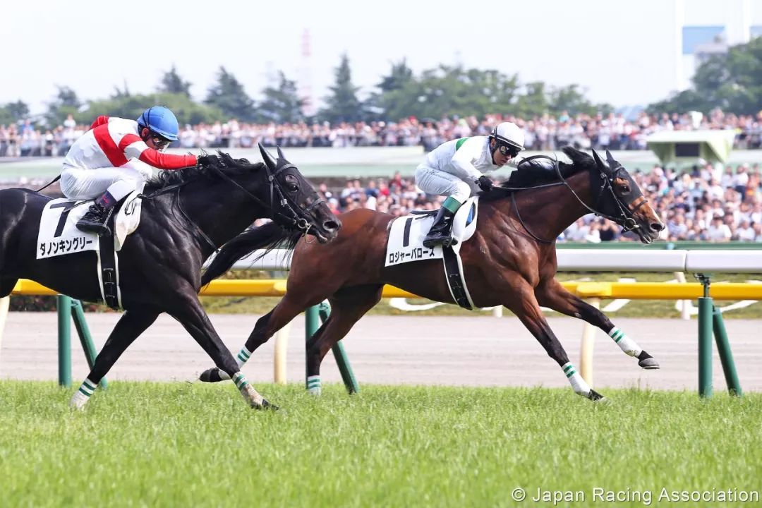 尋覓千里馬揀日本幼馬有秘訣