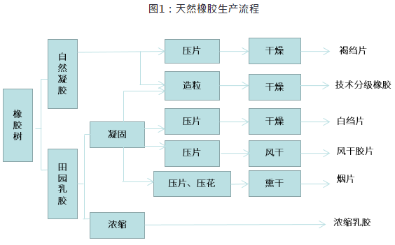 天然橡胶从树上的胶乳到固体产成品,主要经过凝固,造粒(压片),干燥