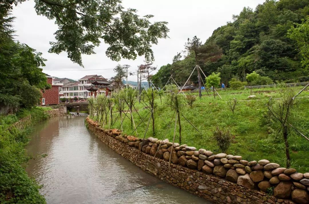 临海市东塍"污水零直排"跑出加速度_东塍镇