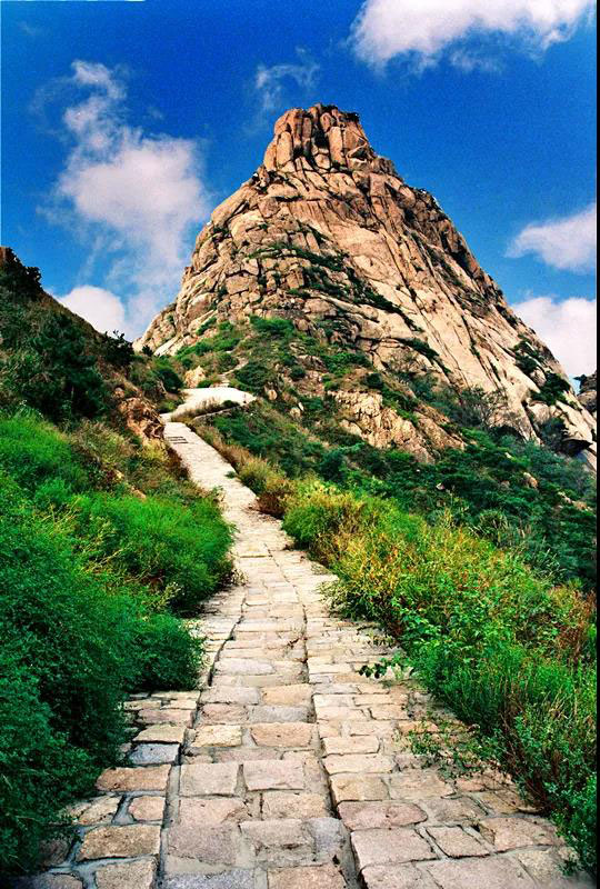 去珠山森林公园寻找清凉一夏