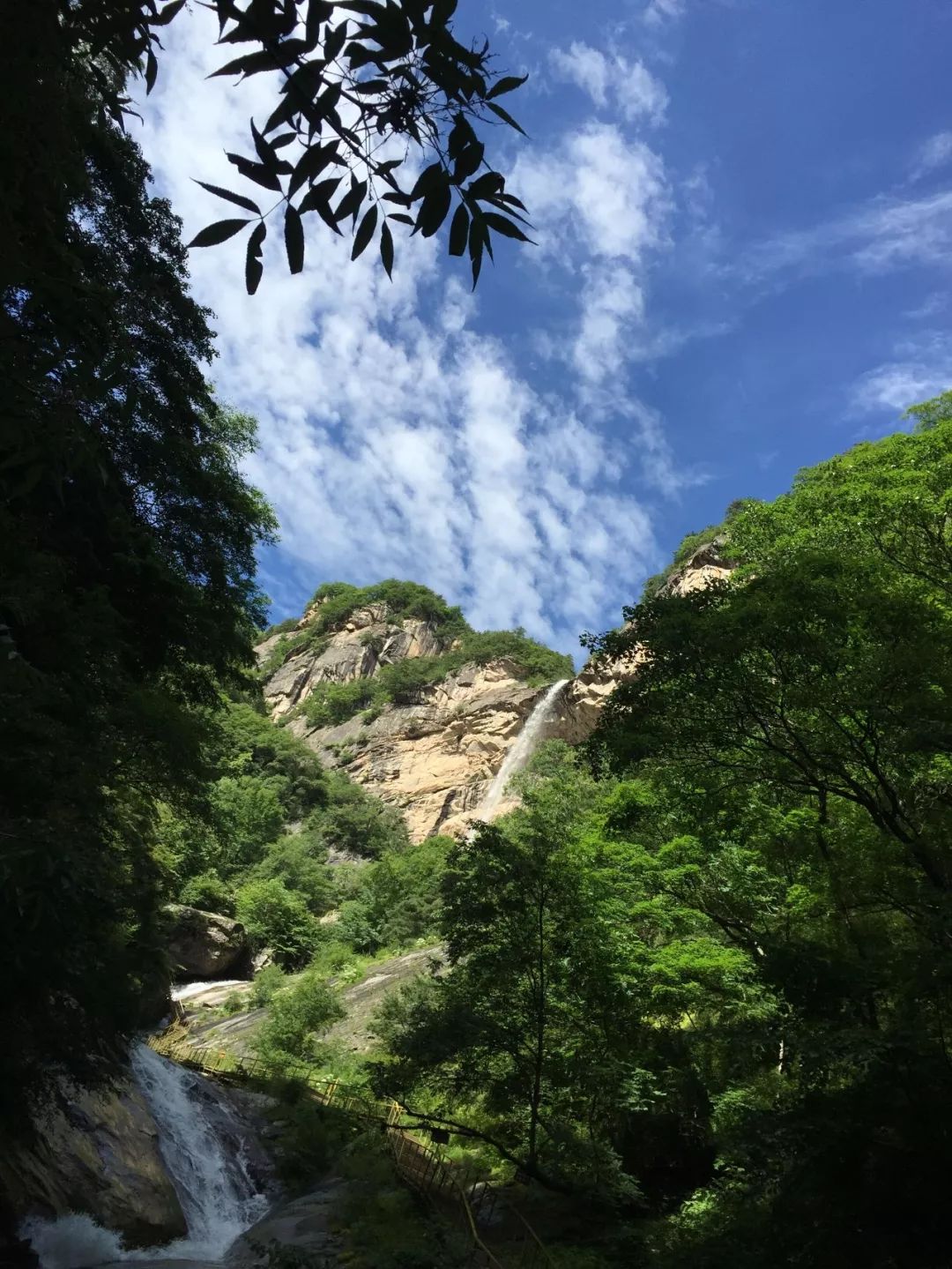 青峰峡自然林距离清新森呼吸
