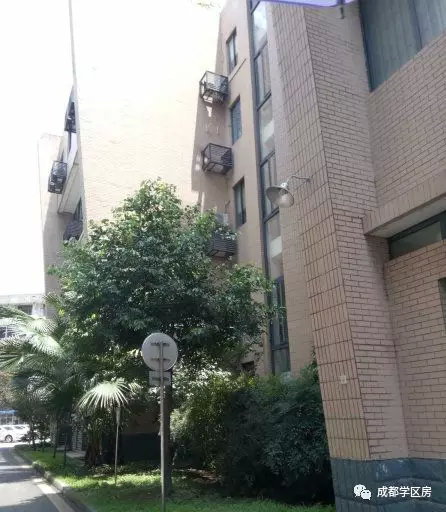 原创最低95万拿下草堂小学学区房