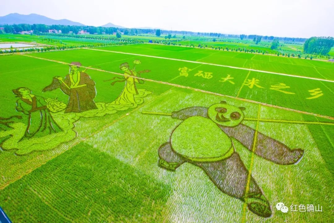 据确山县留庄镇相关负责人介绍说,留庄镇党委政府这几年在打造农业上