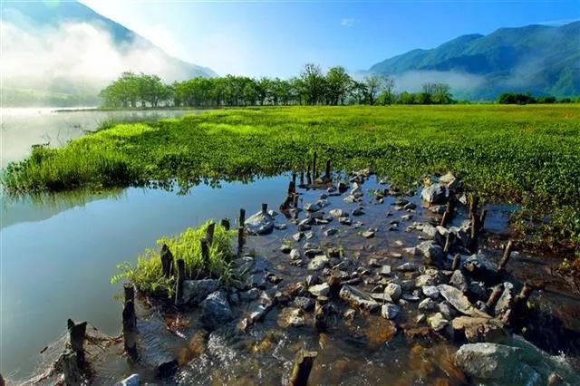 摸清家底,加强监管,统筹推进山水林田湖草系统治理