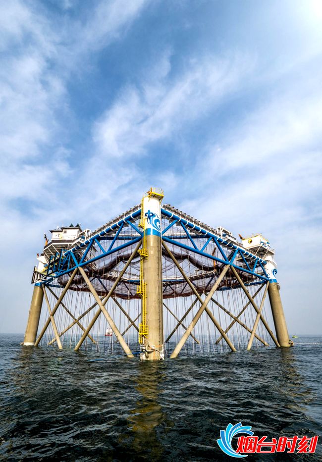 "长鲸1号"深水智能网箱下步,烟台市海洋发展和渔业局将充分发挥烟台的
