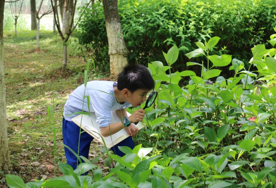 孩子正在进行"一平米的观察"活动