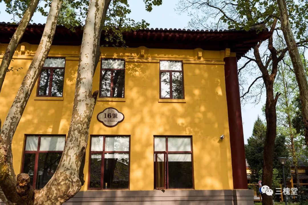 三槐堂丨三槐堂保育园招聘老师啦