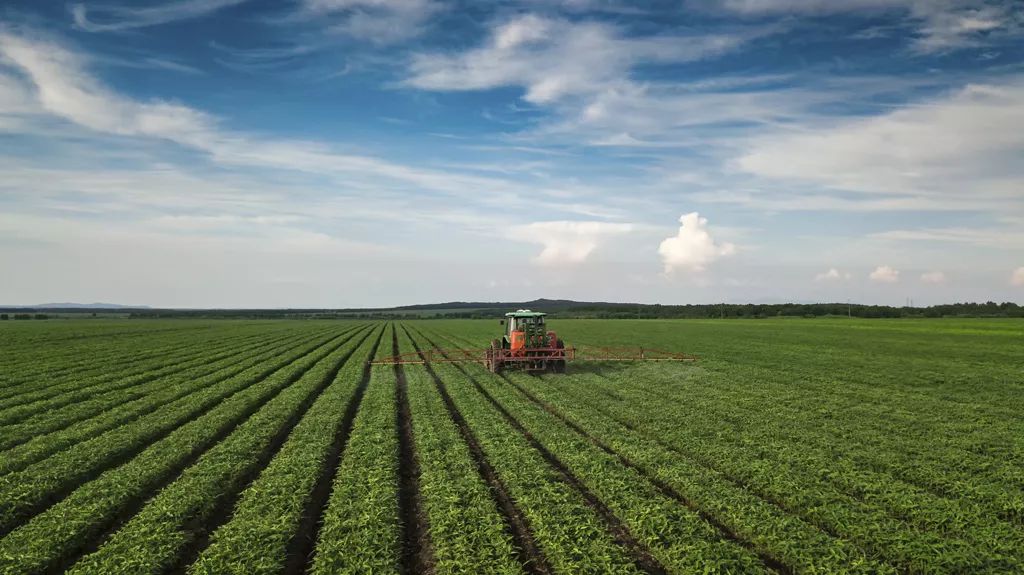 我爱我的家乡我眼中的饶河农场郝玉瑞作品