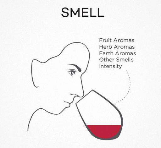 闻香时,你需要做的是将鼻子凑近杯口,集中注意力后用力吸一口气,初步