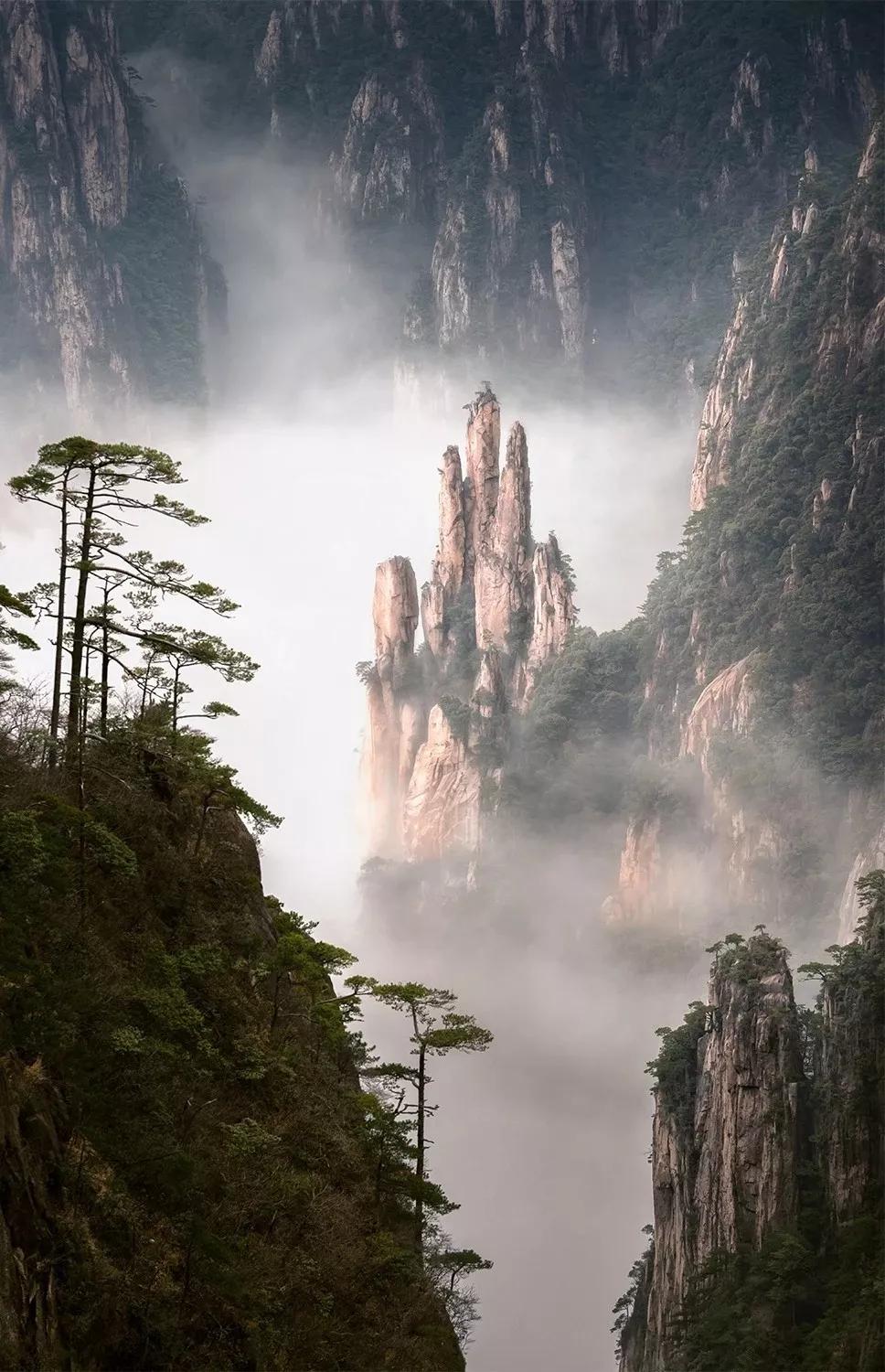 上海黄山(上海黄山路)