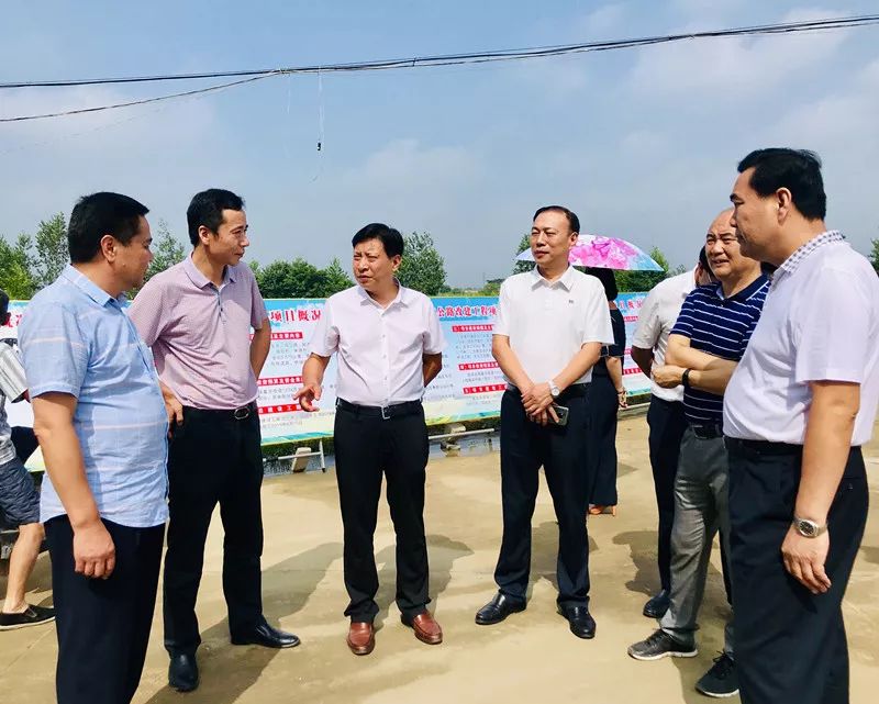代表们现场视察了汪集街孔八线,汪冯线,汪盛线和辛冲街东辛线.