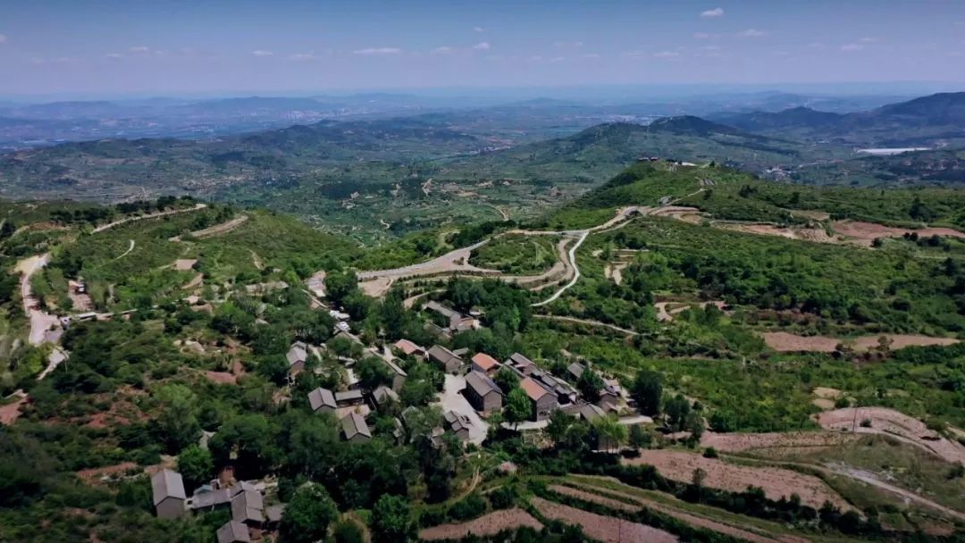 初心野川镇党委倾力打造农林文旅康发展试点样板