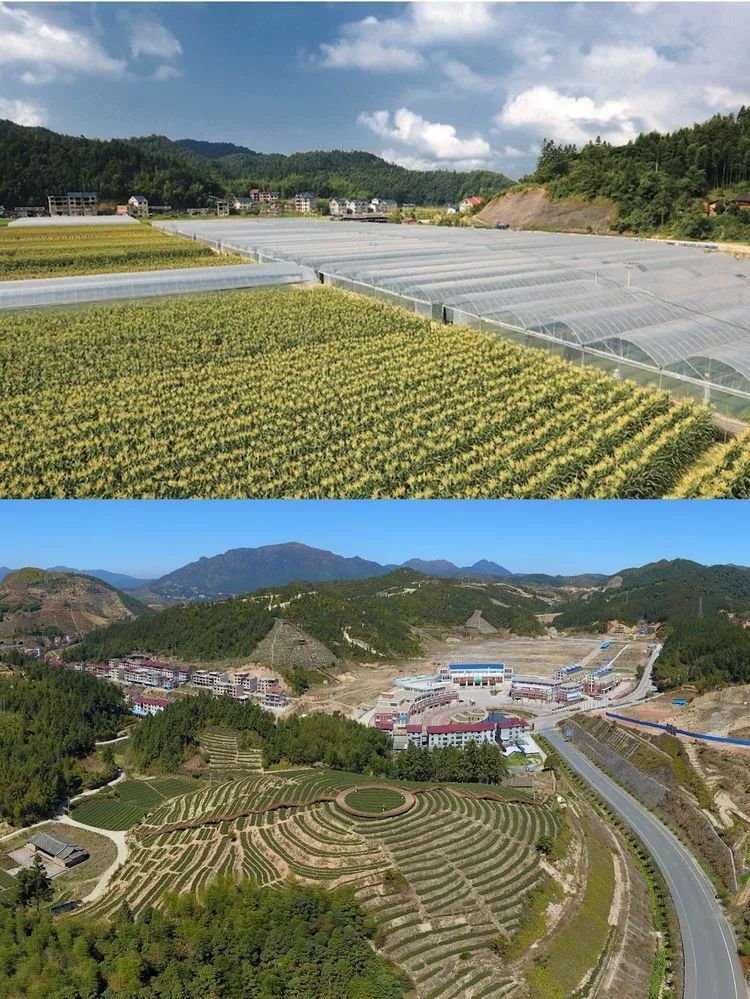 农林大学来大田县实地考察