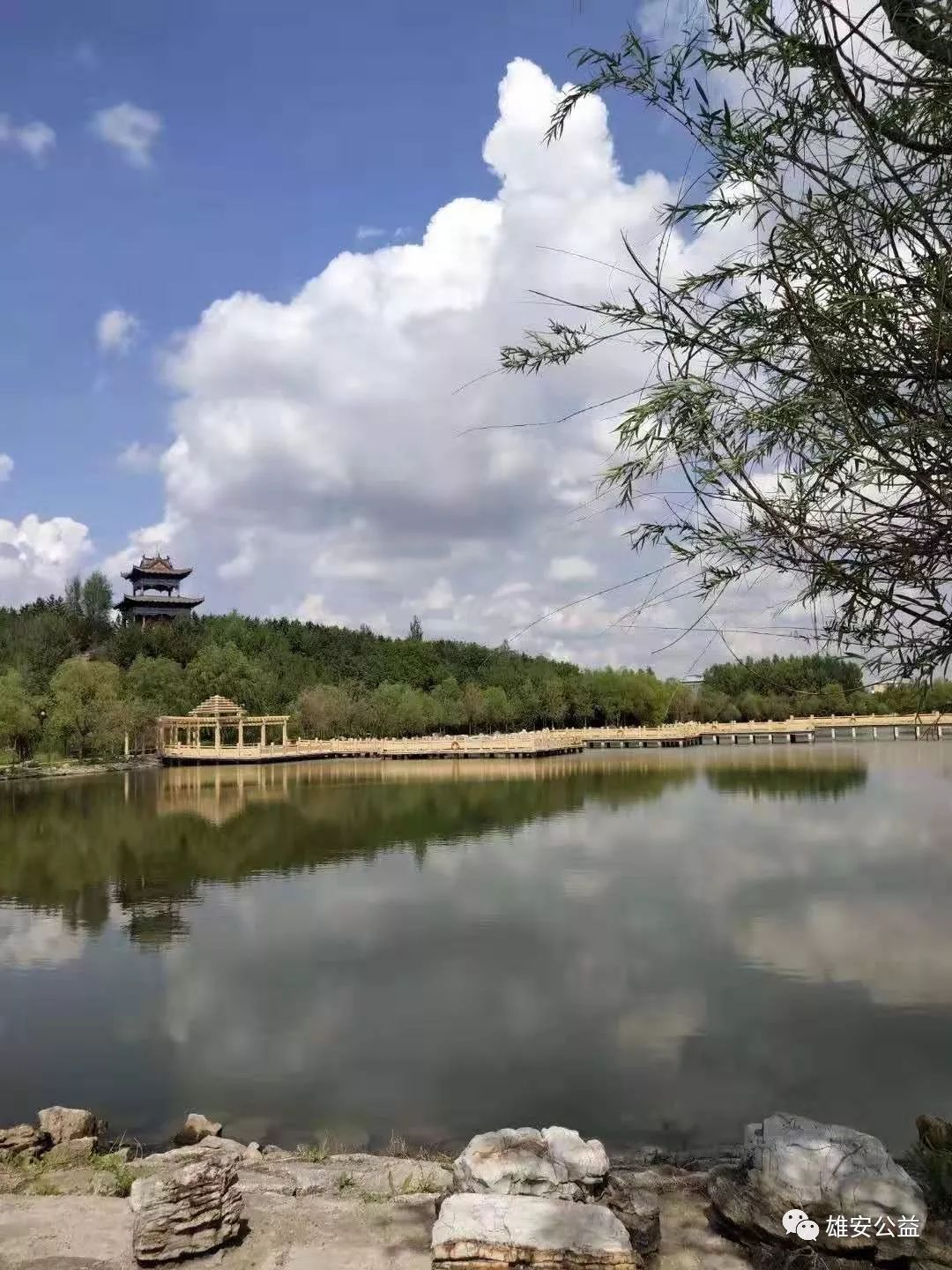 《大美雄安摄影圈》摄影爱好者精选第四期2019-07-18