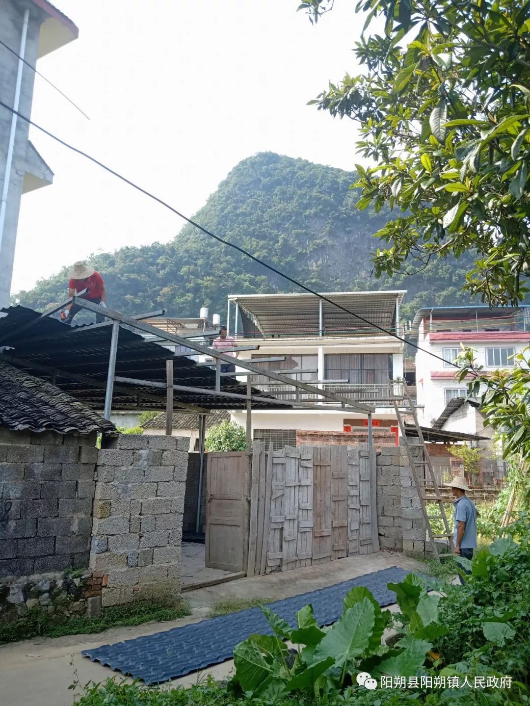 副主任黄燕到矮山门村指导工作副县长陈建华到朝阳村指导工作副县