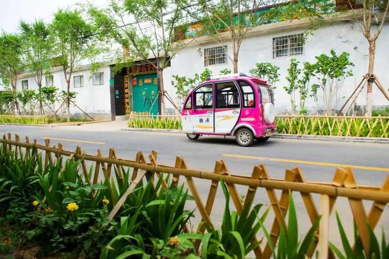 绿满梁山生活美梁山县镇村绿化工作纪实