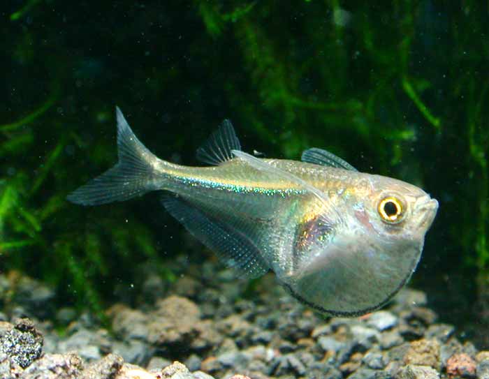 现在亚马逊很难做了亚马逊无货源店群是不是骗局