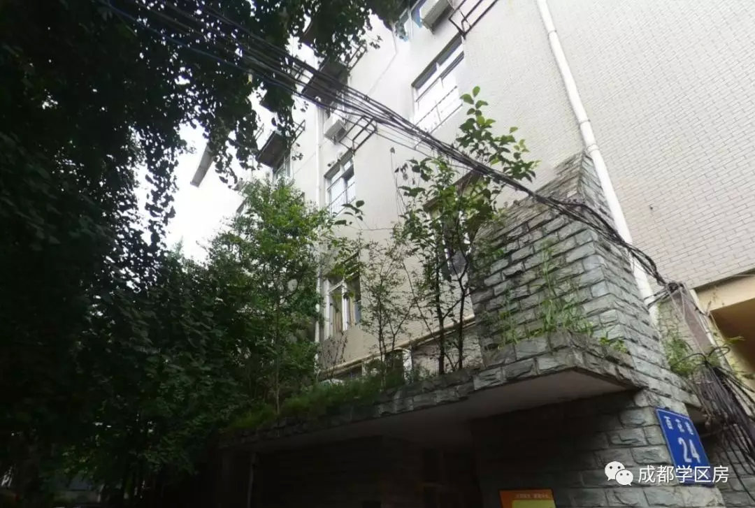 原创最低95万拿下草堂小学学区房