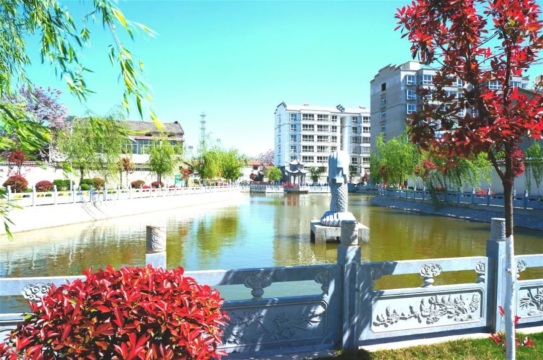 铜山区黄集镇黄西村的标志性景点——喷泉池塘边游人如织,被雕花青石