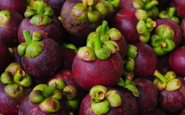 知道的人并不多,还不懂,你的山竹就白吃了_水果