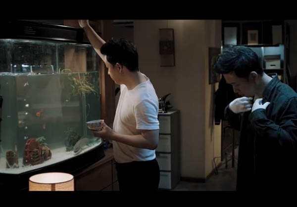 白夜追凶男主养的鱼居然是条在沙漠中曝晒4年还能复活的非洲肺鱼